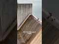 An incredible duck swim #shortsviral #viral #shorts