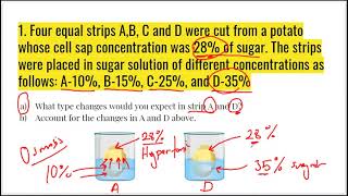 Diffusion and osmosis 2 (problem solving)