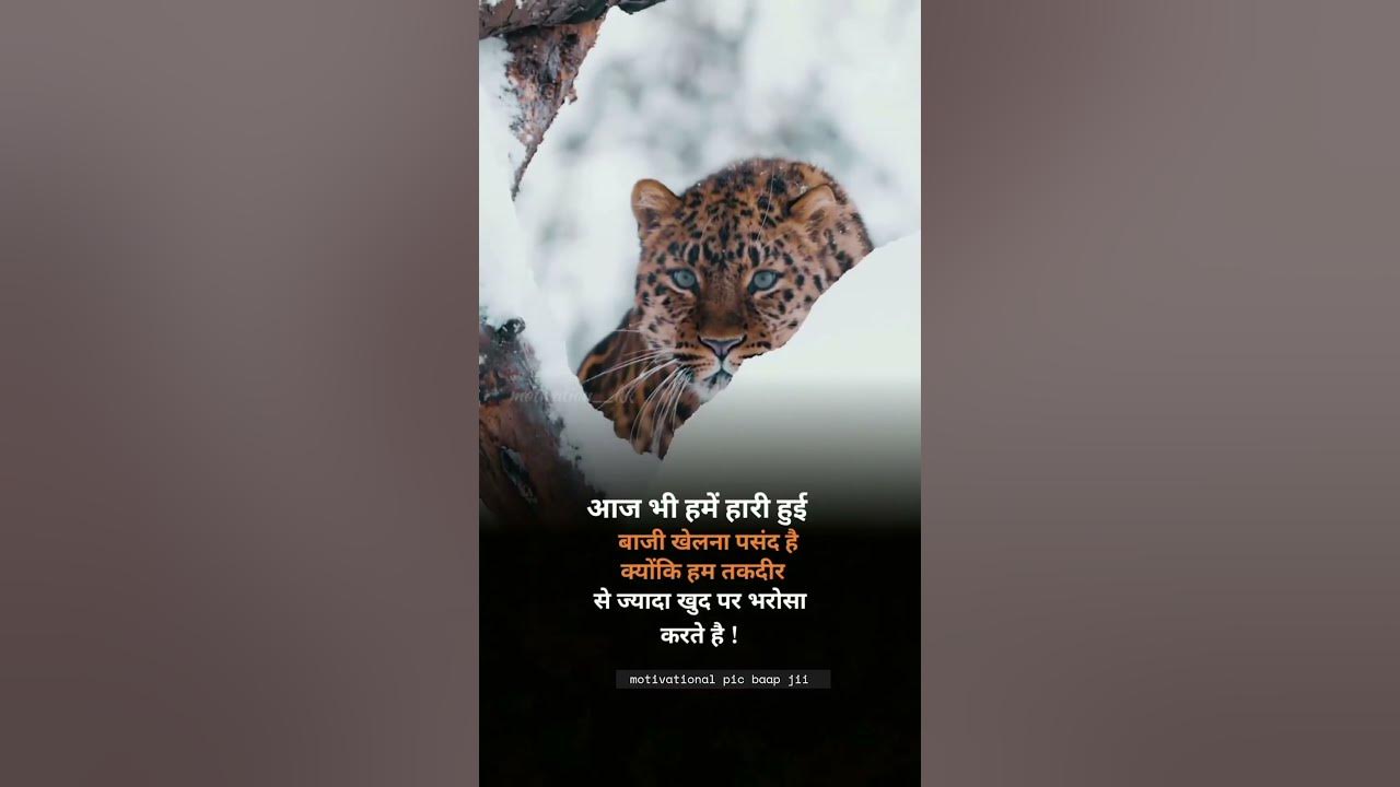 aaj-bhi-hamen-hari-hui-baji-khelna-pasand-youtube