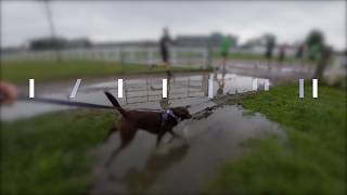 Warwick Racecourse PARKRUN