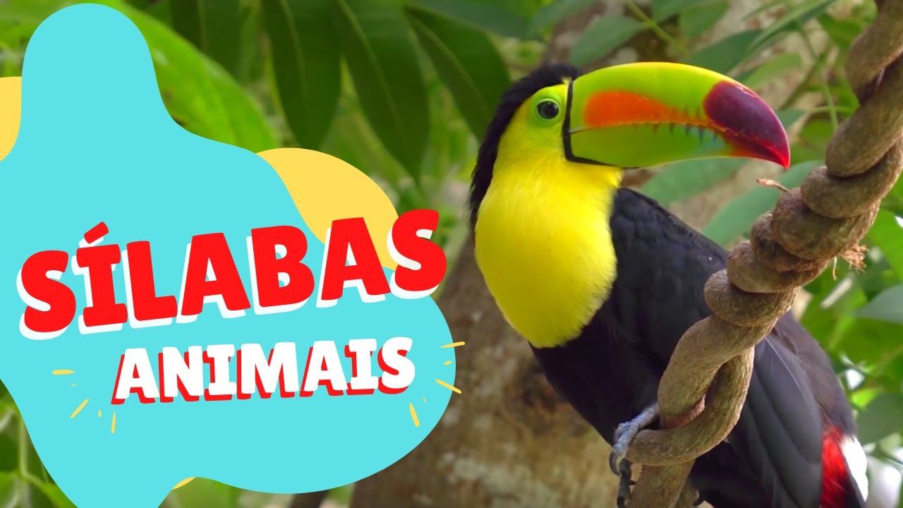 Aprendendo as SÍLABAS dos animais (ALFABETIZAÇÃO de crianças) - YouTube
