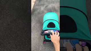 Perfect Weather For Walking The Kitties