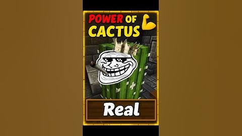 Power of Cactus 💪 | Real | #shorts #minecraft @realminecraftyt