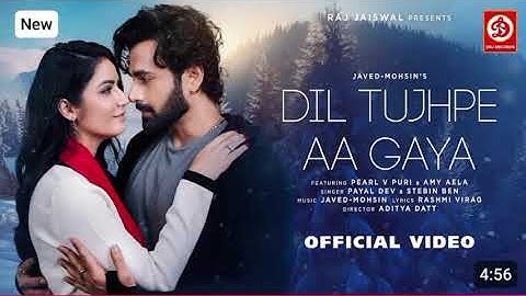 Dil Tujhpe Aa Gaya {Video} Javed-Mohsin | Payal Dev, Stebin Ben | Rashmi V | Hindi new song