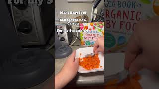cottage cheese & carrot puree. Got this recipe idea from The Big Book of Organic Baby Food #babyfood cottage cheese & carrot puree. Got this recipe idea from The Big Book of Organic Baby Food #babyfood