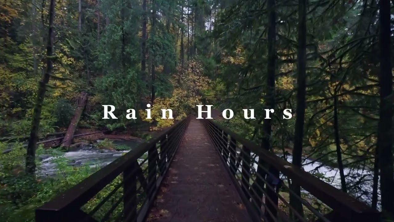 Pacific Northwest Rainforest Walk in Autumn Rain | 1 Hour PNW Fall Colors & Rain Sounds - Rain Hours
