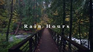 Pacific Northwest Rainforest Walk in Autumn Rain | 1 Hour PNW Fall Colors & Rain Sounds - Rain Hours