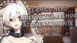 Asmr Roleplay Chico Neko Te Muerde Los Pechos Accidentalmente Parte 1