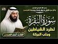 سورة البقرة الشيخ أحمد العجمي القرآن الكريم مباشر     