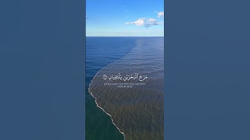 سورة الرحمن  رب المشرقين ورب المغربين  #ياسر الدوسري #quran #islam #