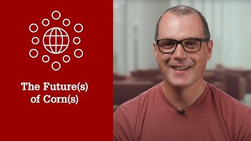 The Future(s) of Corn(s) (Rubén Rellán Álvarez, Ph.D.)