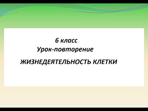 6 класс  Жизнедеятельность клетки