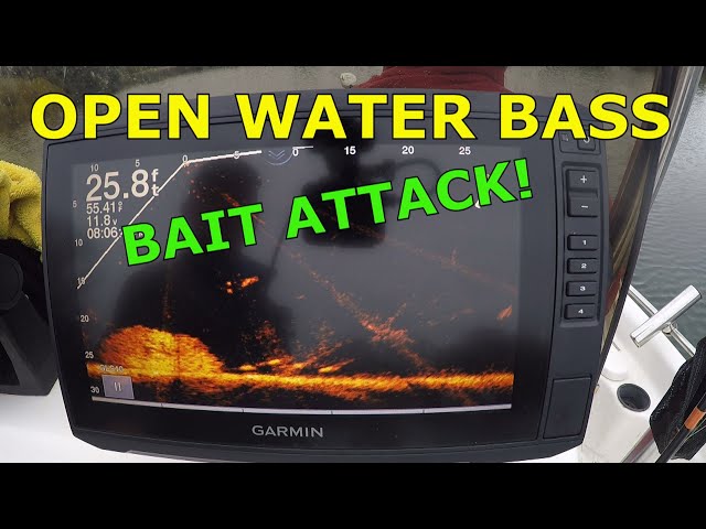 How to catch open water bass with Garmin Livescope February 2020