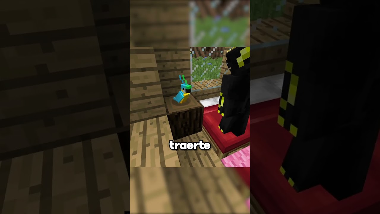 Tipos de Dueños de Mascotas en Minecraft