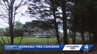 Anderson County tree concerns