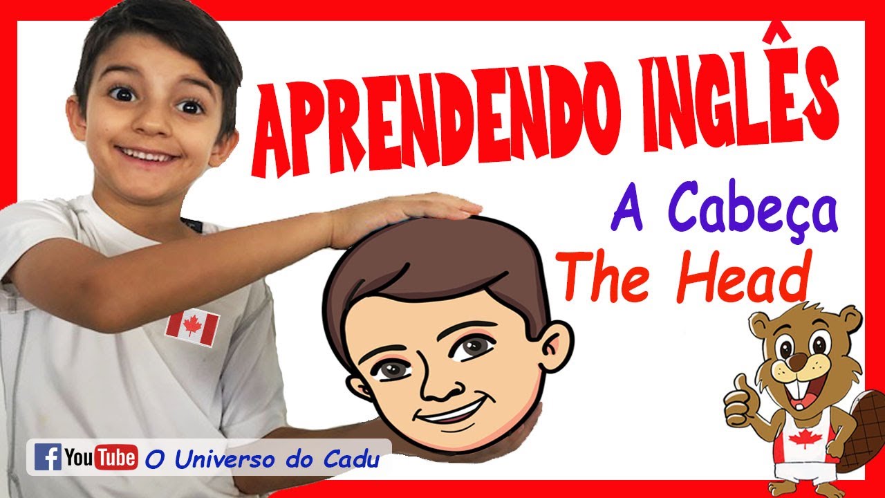 Partes Da Cabeça Em Ingles - FDPLEARN