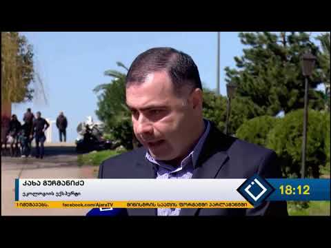 მკვდარი ცხოველები ე.წ. ბეიკერის ორმოს მიმდებარედ