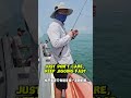 Should we jig fast or slow #fishingtips #jigging #fishingcharter