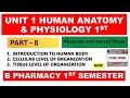 Tissue | muscular and nervous |Tissue Level Of Organization | unit - 1 | HAP 1st semester B Pharmacy