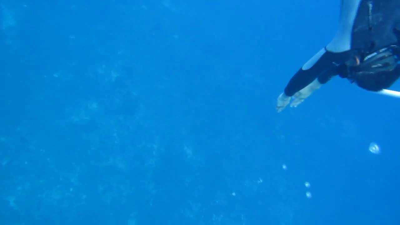 Freediving practice with Angus Tang YouTube