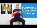 DIAFRAMMA: 5 ESERCIZI per un muscolo che migliora CERVICALGIE, LOMBALGIE, POSTURA e stati d'ANSIA