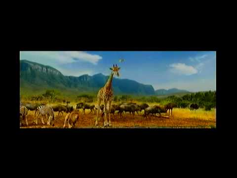 Funny Travelers insurance