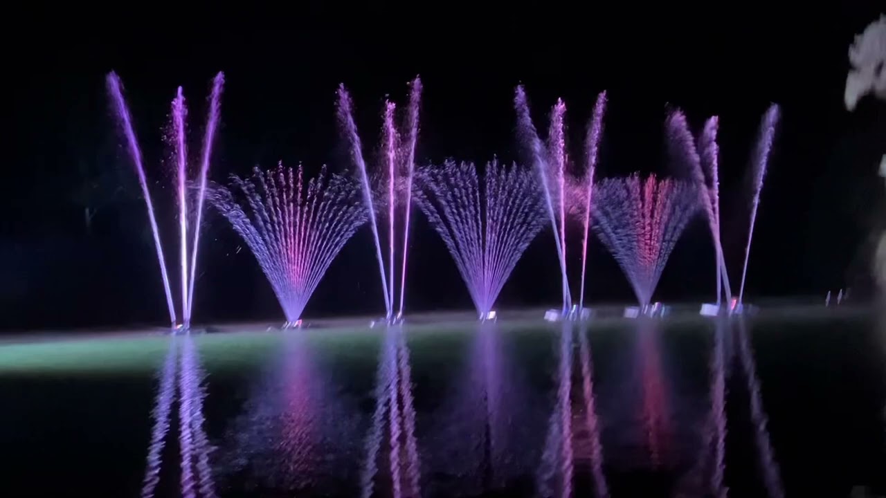 Leonardslee Gardens Illuminations Walkthrough|Horsham