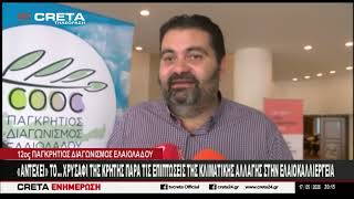 "Αντέχει'' το... χρυσάφι της Κρήτης παρά τις επιπτώσεις της κλιματικής αλλαγής στην ελαιοκαλλιέργεια