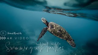 Zanzibar 🇹🇿| The best thing to do | Swimming with turtles | Nungwi Aquarium | Underwater 4K Video