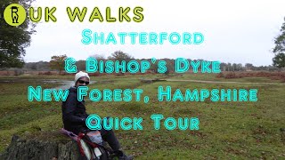 Shatterford & Bishops Dyke Walk, New Forest Walks, Hampshire Walks In England, UK - Quick Tour