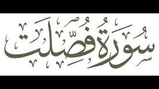 إِنَّ الَّذِينَ آمَنُوا وَعَمِلُوا الصَّالِحَاتِ لَهُمْ أَجْرٌ غَيْرُ مَمْنُونٍ - عبد العزيز الديب screenshot 5