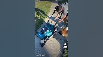 A quick & simple attachment! Use the Trimyxs to level up the look of your yard