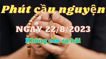 Phút Cầu Nguyện, Thứ Ba 22/08/2023: Không còn sợ hãi