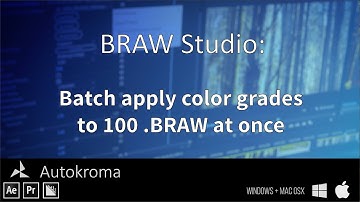 BRAW Studio : Batch apply color grades to 100 .BRAW at once, in a few clicks