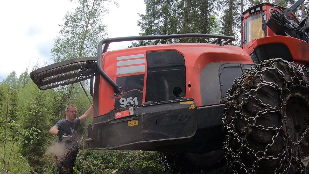 Livet som skogsmaskinsförare 2020 - Barkborre och vindfällen | Time Lapse