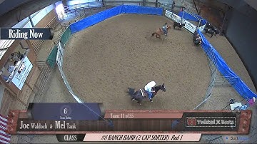 Big Sky Ranch Sorting Saddle Series #5 - #8 RANCH HAND (2 CAP SORTER) - Round #1 - Ride #11