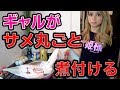 【料理できないギャル】生きたサメで煮物をつくったらまさかの大惨事に・・