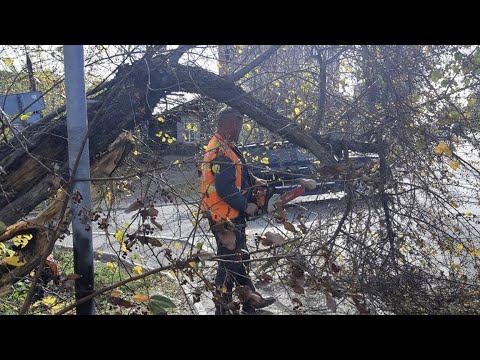 Ураган в Иркутской области оставил без электричества жителей 45 поселков