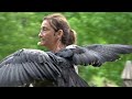 Aves Rapaces  Espectaculo con Juanky Mele y Aurora Urraca en el Parque de la Naturaleza de Cabarceno