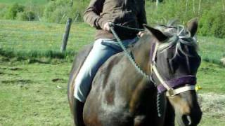 Marybeth bareback 3