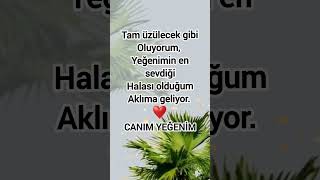 Canım Yeğenim Üzelsözler Şfet Ğen