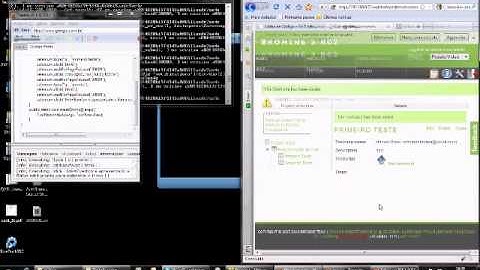 Demo - Selenium RC + IDE + Bromine