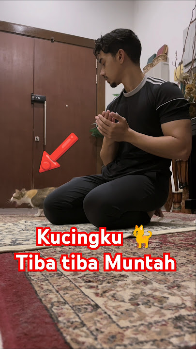 Muntah di depanku #cat #catlover #videoshort #kitten #imut #kucingimut #cute #pets #petlover #cats