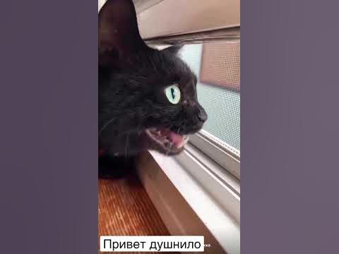 Душнило 🤣 - YouTube