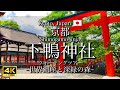 [京都|Kyoto]"下鴨神社"を観光｜世界遺産の境内と神聖な森｜"Shimogamo-jinja Shrine" Walking Tour(Vlog)[4K]