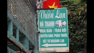 Chủ vườn lan đột biến nghi ôm 200 tỷ bỏ trốn: tôi cũng là nạn nhân