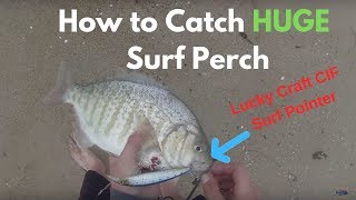 Went to guadalupe beach try out my new lucky craft lures. they worked
great. i was using a lc cif surf pointer in zebra sardine and anchovy
color. rod ...