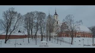 Tytuvėnai 2024. Romashka Belaya