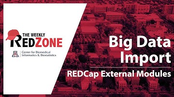 REDZone - Big Data Import