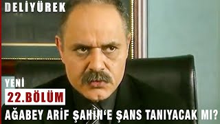 Ağabey Arif Şahine Şans Tanıyacak Mı? - Deli Yürek - 22.Bölüm